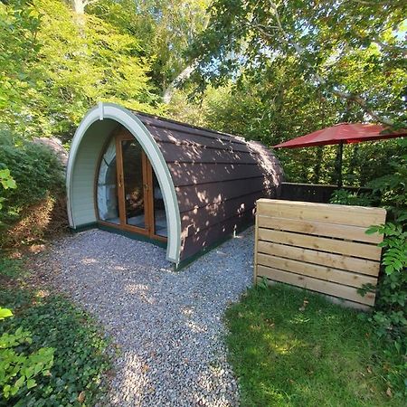 Priory Glamping Pods And Guest Accommodation Киларни Екстериор снимка