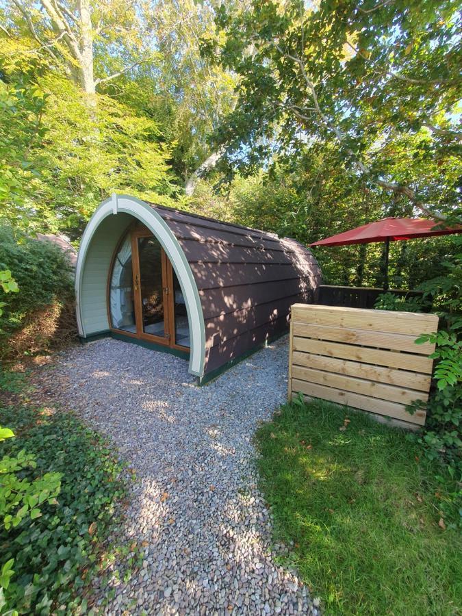 Priory Glamping Pods And Guest Accommodation Киларни Екстериор снимка