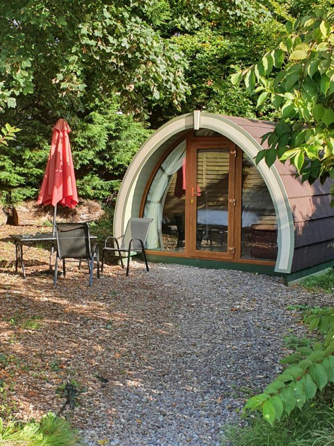 Priory Glamping Pods And Guest Accommodation Киларни Екстериор снимка