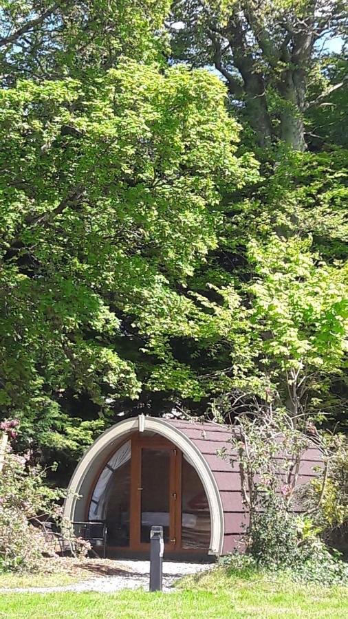 Priory Glamping Pods And Guest Accommodation Киларни Екстериор снимка